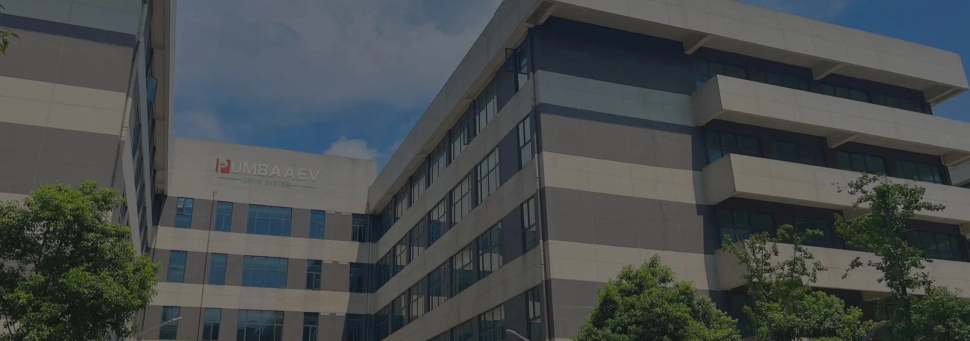 Pumbaa ev homepage banner